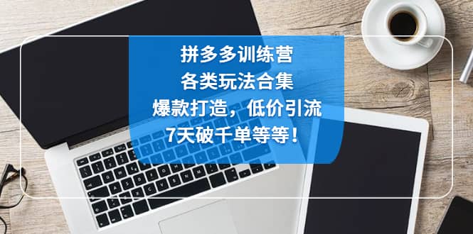 拼多多训练营：各玩法合集，爆款打造，低价引流，7天破千单等等-逍遥游