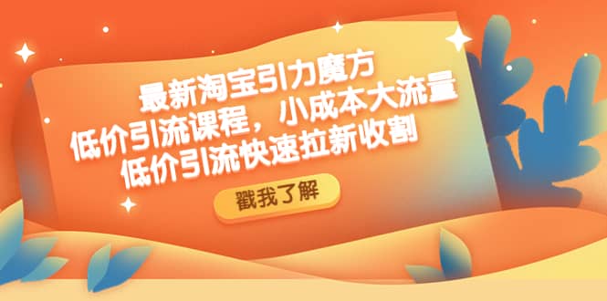 最新淘宝引力魔方低价引流实操:小成本大流量-逍遥游