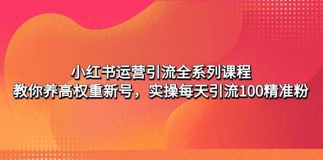 小红书运营引流全系列课程:教你养高权重新号-逍遥游