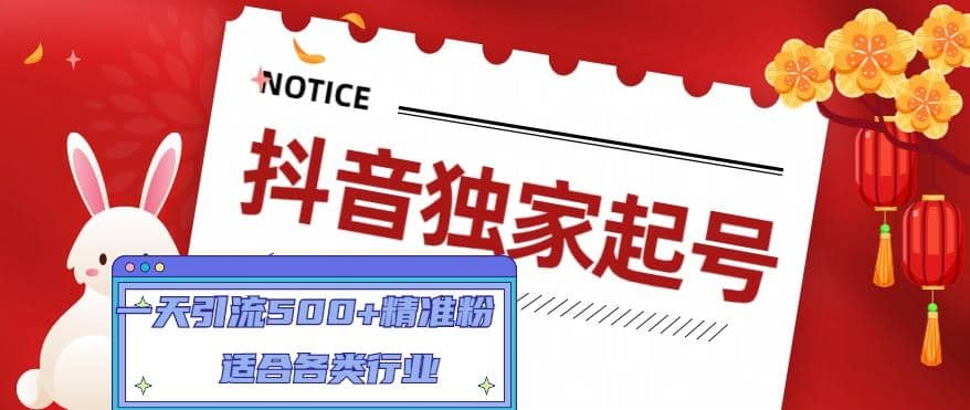 抖音独家起号,适合各类行业(9节视频课)-逍遥游