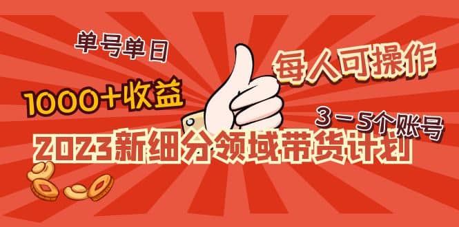 2023新细分领域带货计划：单号单日1000+收益不难，每人可操作3-5个账号-逍遥游