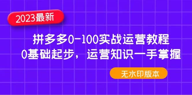 2023拼多多0-100实战运营教程,0基础起步,运营知识一手掌握(无水印)-逍遥游