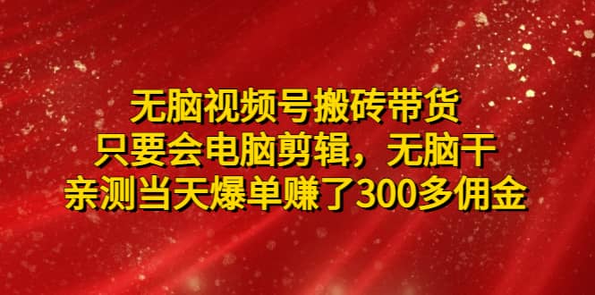 无脑视频号搬砖带货,只要会电脑剪辑,无脑干-逍遥游