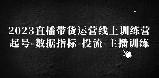 2023直播带货运营线上训练营,起号-数据指标-投流-主播训练-逍遥游