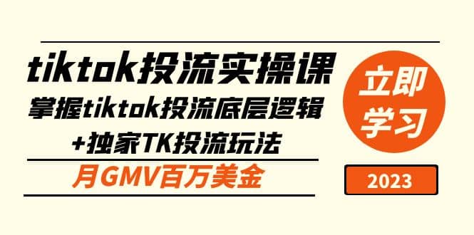 tiktok投流实操课:掌握tiktok投流底层逻辑+独家TK投流玩法-逍遥游