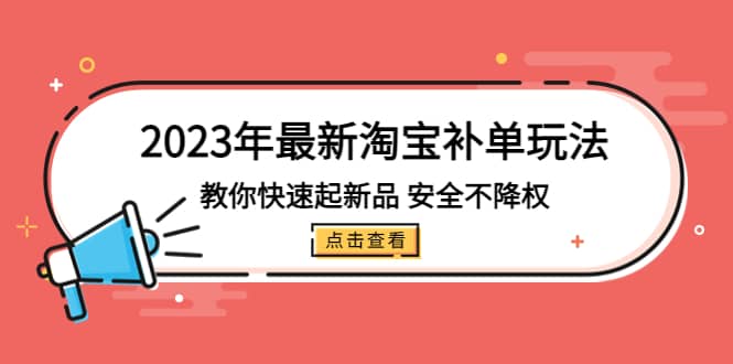 2023年最新淘宝补单玩法,教你快速起·新品,安全·不降权(18课时)-逍遥游