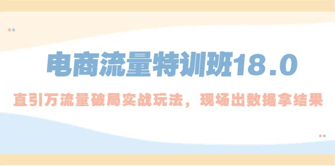 电商流量特训班18.0,直引万流量破局实操玩法,现场出数据拿结果-逍遥游