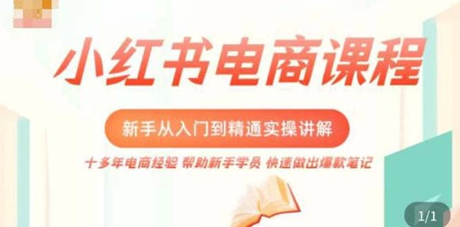 小红书电商新手入门到精通实操课,从入门到精通做爆款笔记,开店运营-逍遥游