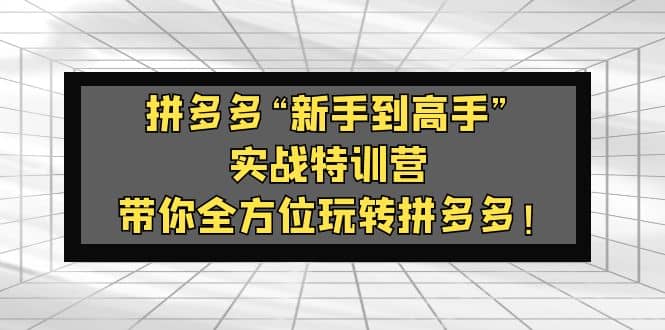 拼多多“新手到高手”实战特训营:带你全方位玩转拼多多-逍遥游