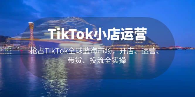 TikTok小店运营 抢占TikTok全球蓝海市场，开店、运营、带货、投流全实操-逍遥游