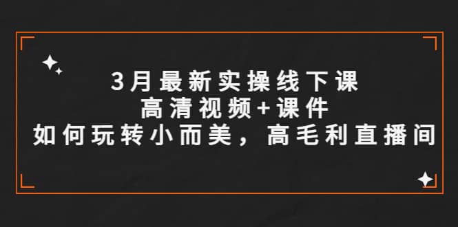 3月最新实操线下课高清视频+课件，如何玩转小而美，高毛利直播间-逍遥游