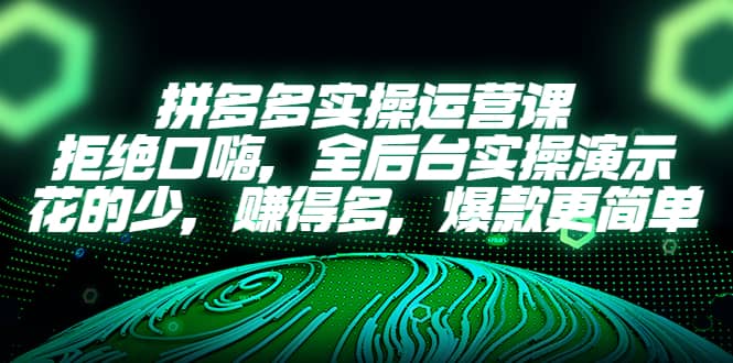 拼多多实操运营课:拒绝口嗨,全后台实操演示,花的少,赚得多,爆款更简单-逍遥游