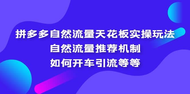 拼多多自然流量天花板实操玩法:自然流量推荐机制,如何开车引流等等-逍遥游