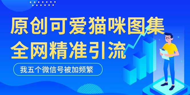 黑科技纯原创可爱猫咪图片，全网精准引流，实操5个VX号被加频繁-逍遥游
