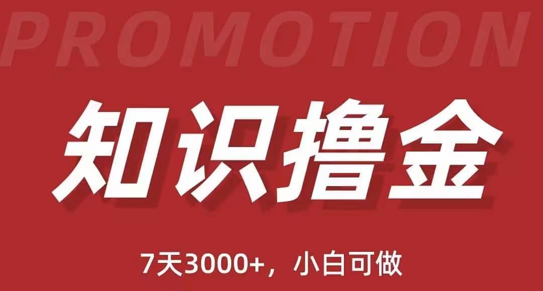 抖音知识撸金项目：执行力强当天见收益(教程+资料)-逍遥游