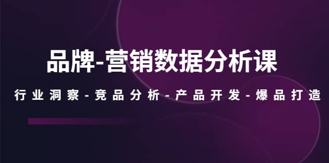 品牌-营销数据分析课，行业洞察-竞品分析-产品开发-爆品打造-逍遥游