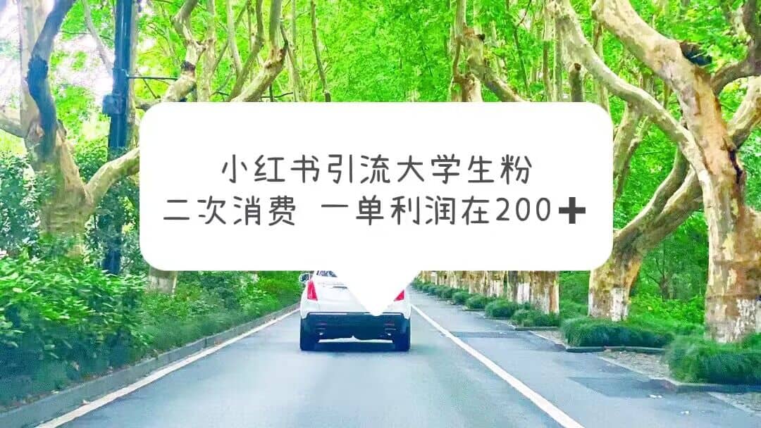 小红书引流大学生粉,变现项目,一单利润在200+(教程+资源)-逍遥游