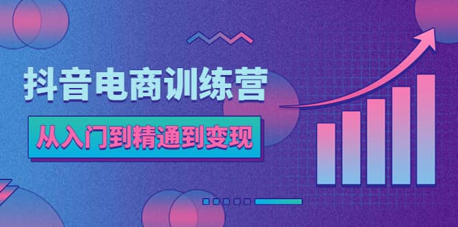抖音电商训练营:从入门到精通,从账号定位到流量变现,抖店运营实操-逍遥游