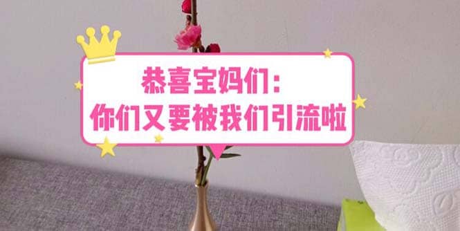 恭喜宝妈们:你们又要被我们引流了(教程+222g资料)-逍遥游