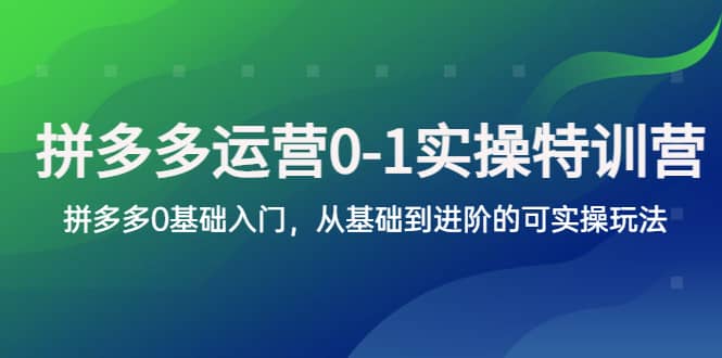 拼多多-运营0-1实操训练营,拼多多0基础入门,从基础到进阶的可实操玩法-逍遥游