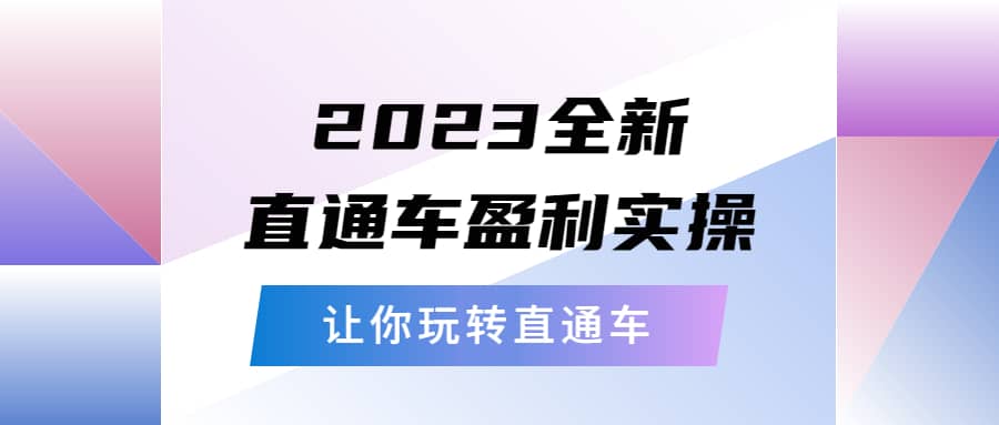 2023全新直通车·盈利实操:从底层,策略到搭建,让你玩转直通车-逍遥游