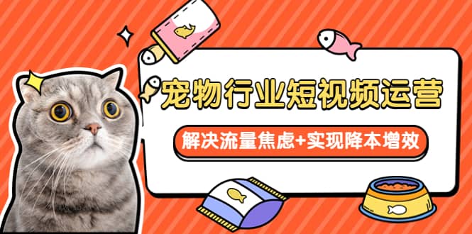宠物/行业短视频运营 流量增长的一层窗户纸 解决流量焦虑+实现降本增效-逍遥游