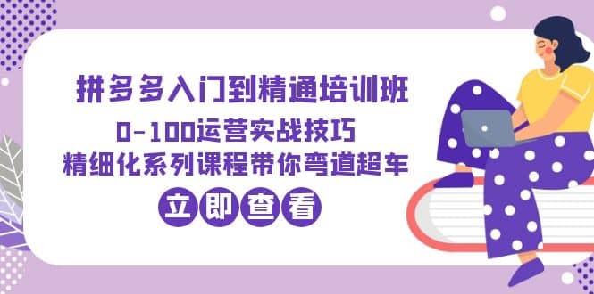 2023拼多多入门到精通培训班:0-100运营实战技巧 精细化系列课带你弯道超车-逍遥游