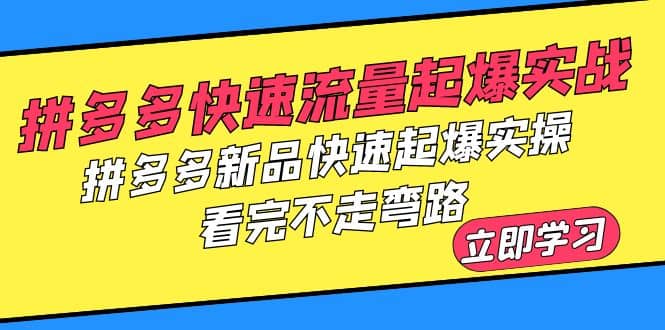 拼多多-快速流量起爆实战，拼多多新品快速起爆实操，看完不走弯路-逍遥游