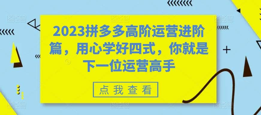 2023拼多多高阶运营进阶篇，用心学好四式，你就是下一位运营高手-逍遥游