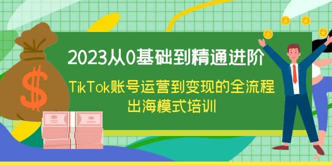2023从0基础到精通进阶,TikTok账号运营到变现的全流程出海模式培训-逍遥游