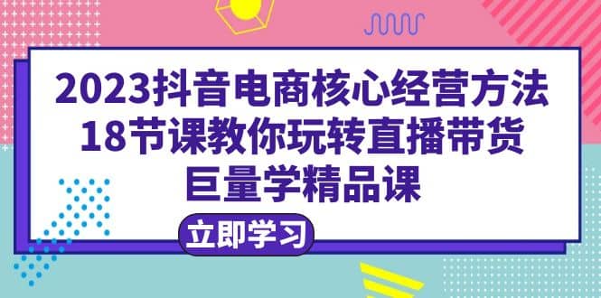 2023抖音电商核心经营方法:18节课教你玩转直播带货,巨量学精品课-逍遥游