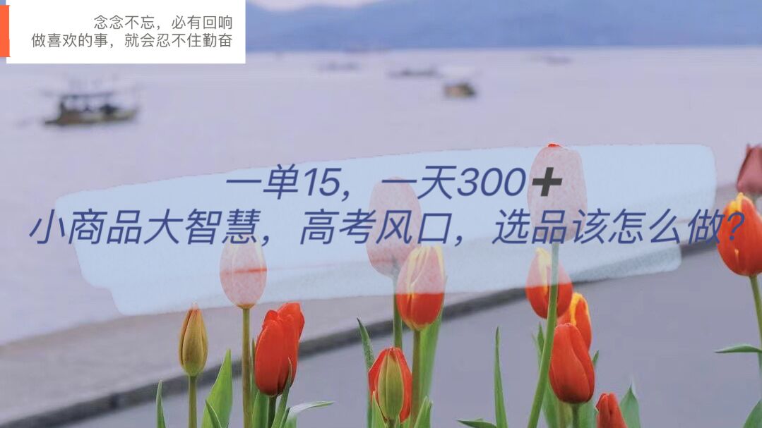 一单15,一天300+,小商品大智慧,高考风口,选品该怎么布局-逍遥游