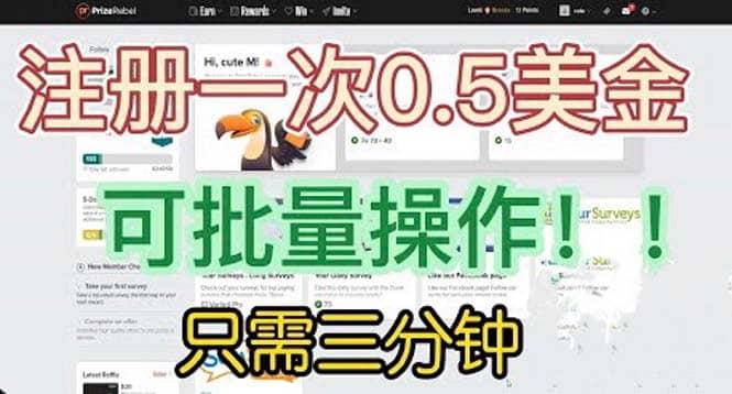 国外项目注册一次0.5美金 只需三分钟无脑操作 可批量放大 小白工作室福利-逍遥游