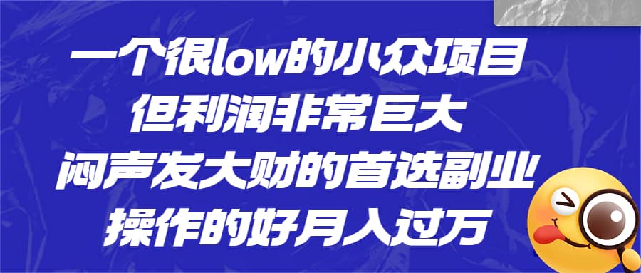 一个很low的小众项目,但利润非常巨大,闷声发大财的首选副业,月入过万-逍遥游