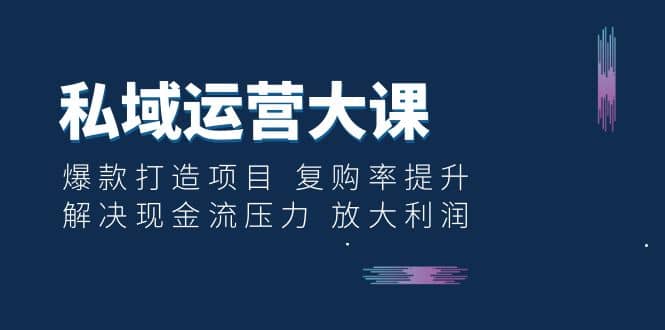私域运营大课:爆款打造项目 复购率提升 解决现金流压力 放大利润-逍遥游