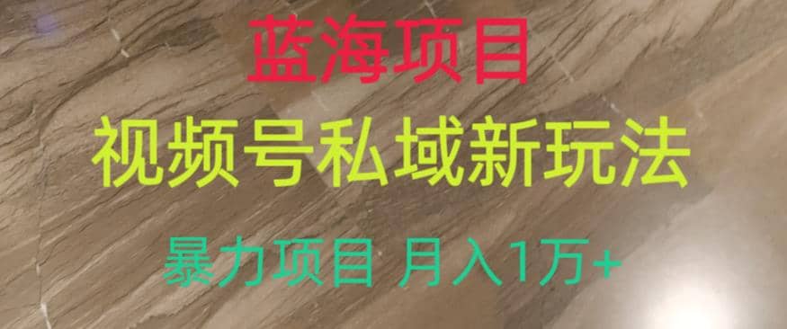 蓝海项目，视频号私域新玩法，暴力项目月入1万+【揭秘】-逍遥游