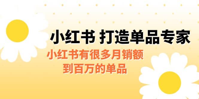 某公众号付费文章《小红书 打造单品专家》小红书有很多月销额到百万的单品-逍遥游