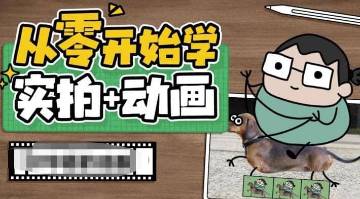 从零开始学实拍加动画,实拍加动画创意教程(49节视频课)-逍遥游