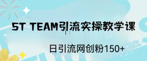 ST TEAM引流实操课,日引流网创粉100+-逍遥游