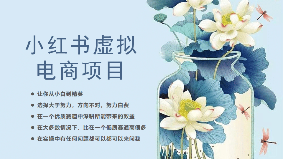 小红书虚拟电商从0到1,让你从小白到精英(20节实操课程)-逍遥游