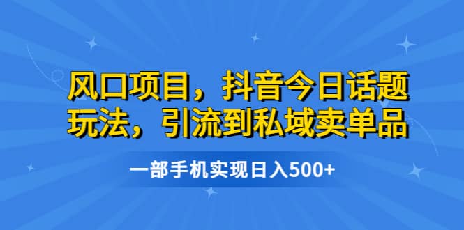 风口项目,抖音今日话题玩法,引流到私域卖单品,一部手机实现日入500+-逍遥游