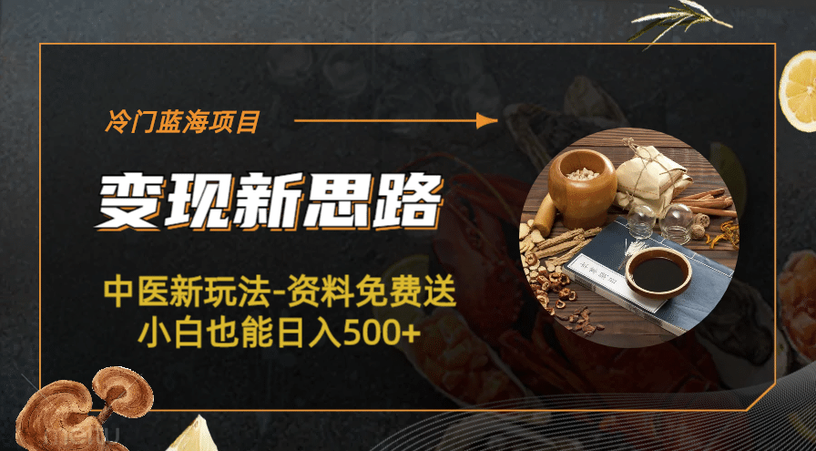 冷门蓝海项目-中医新玩法-冷门蓝海项目-中医新玩法-资料免费送小白也能日入500+500+-逍遥游