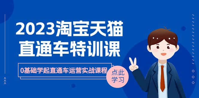 2023淘宝·天猫直通车评特训课,0基础学起直通车运营实战课程(8节课时)-逍遥游