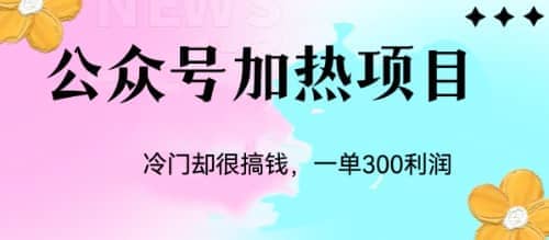 冷门公众号加热项目,一单利润300+-逍遥游