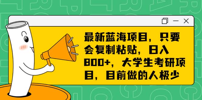 最新蓝海项目,只要会复制粘贴,日入800+,大学生考研项目,目前做的人极少-逍遥游