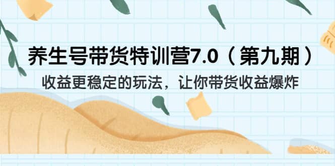 养生号带货特训营7.0(第九期)收益更稳定的玩法 让你带货收益爆炸(11节)-逍遥游