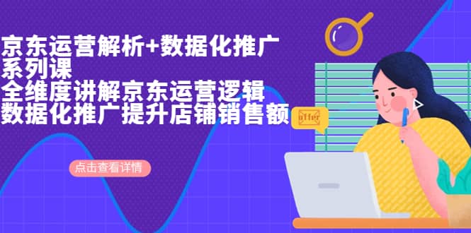 京东运营解析与数据化推广系列课，全维度讲解京东运营逻辑+数据化推广提升店铺销售额-逍遥游