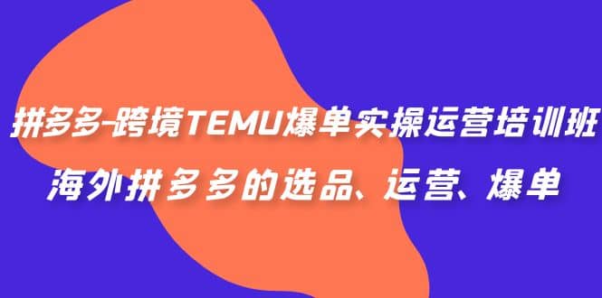 拼多多-跨境TEMU爆单实操运营培训班,海外拼多多的选品、运营、爆单-逍遥游