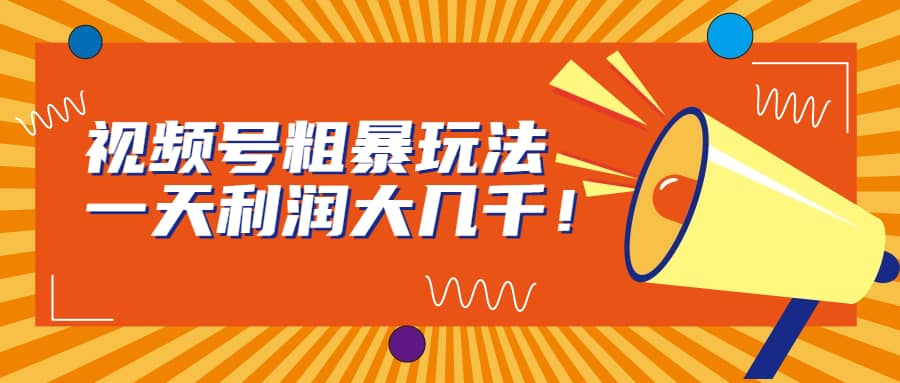 视频号粗暴玩法,一天利润大几千-逍遥游