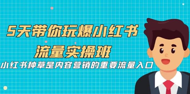 5天带你玩爆小红书流量实操班,小红书种草是内容营销的重要流量入口-逍遥游